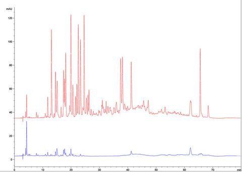 Sovrapposizione cromatogrammi HPLC tra prodotto Tal Quale e Deamarizzato